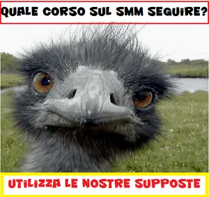 Corso Social Media Marketing